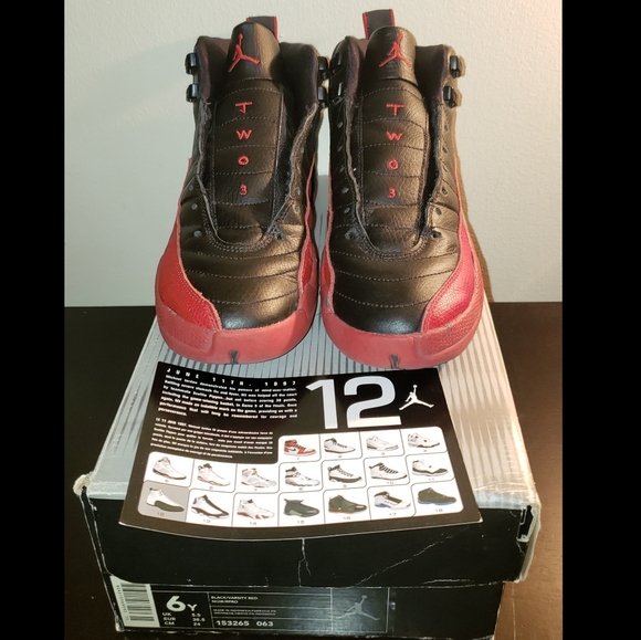 Jordan Other - Air Jordan 12 Retro